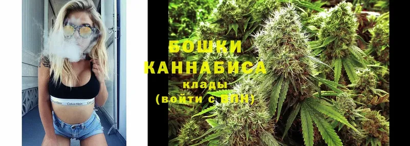 Каннабис сатива  продажа наркотиков  Кисловодск 